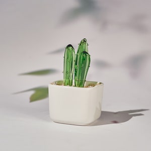 🌵Fused Glass Cactus Plants: 🔥Handmade Stained Glass Plant Decorations