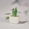 🌵Fused Glass Cactus Plants: 🔥Handmade Stained Glass Plant Decorations