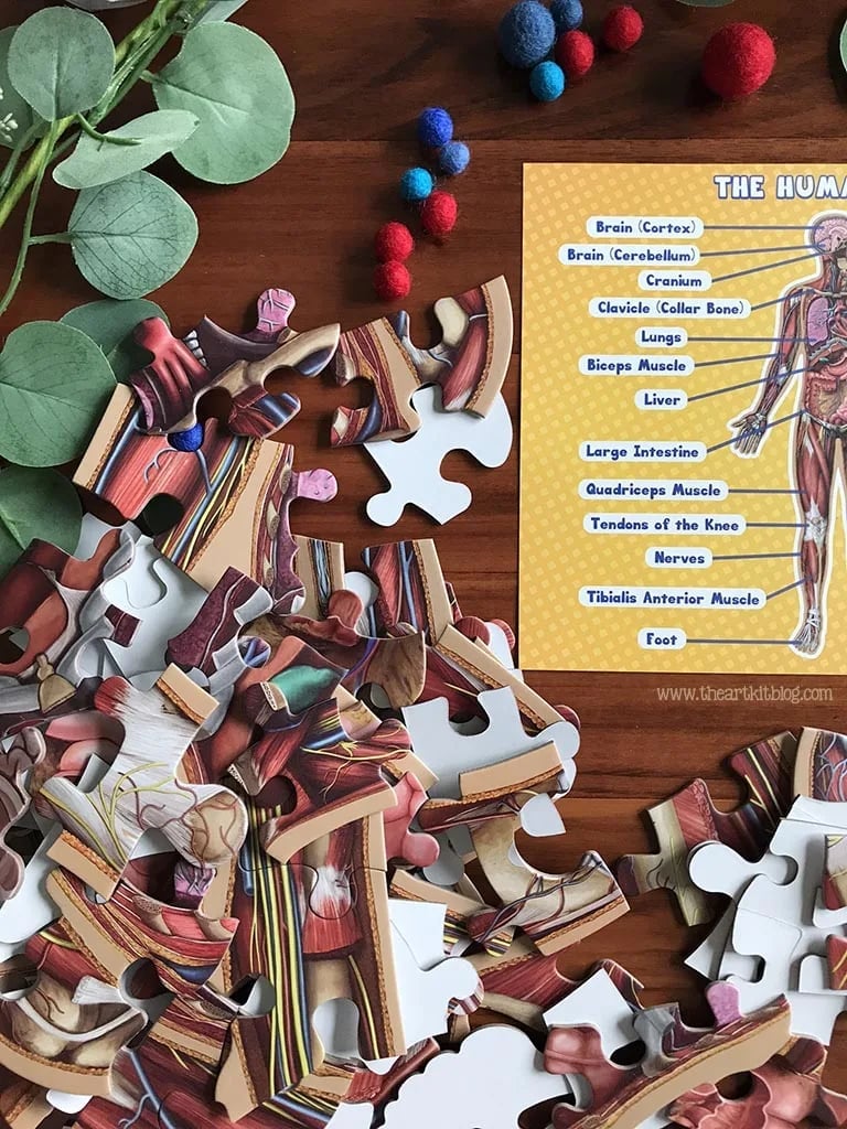 Kid's 100 Piece Human Body Floor Puzzle