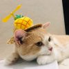 MOTHER'S DAY PROMOTIONS- SAVE 50% OFF Handcraft Adjustable Pet Sombrero Hat (BUY 2 GET EXTRA 10% OFF)