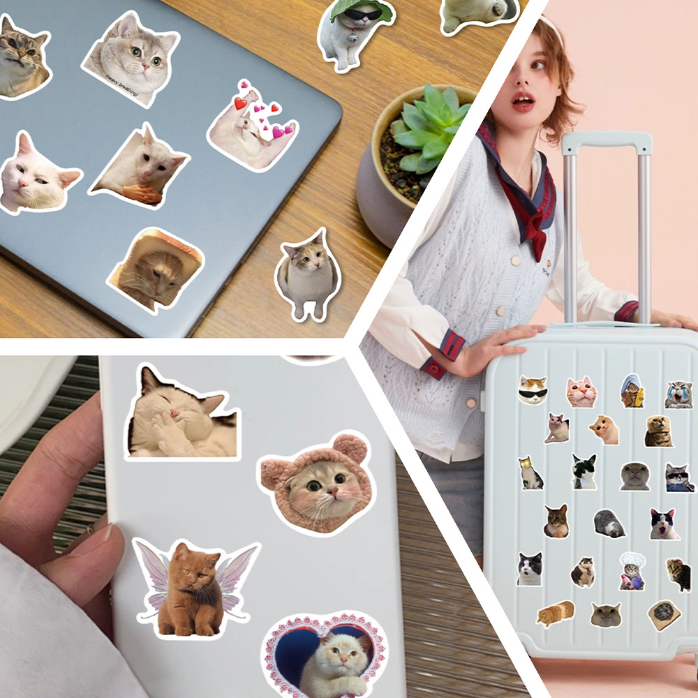 😻100 PCS Funny Kitten Stickers