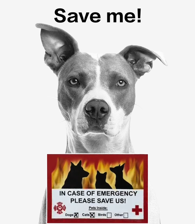 Pet Guardian Emergency Sticker 🐾🚪 – Customize & Protect Your Pets in Emergencies 🐶🐱