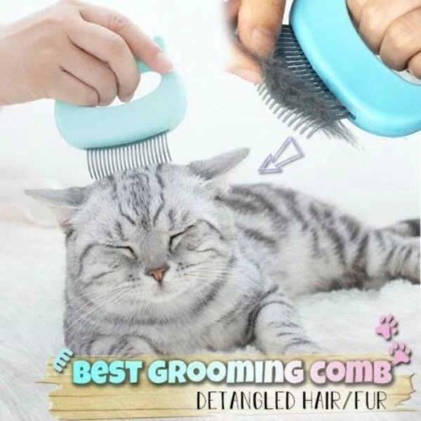 Last Day Promotion 48% OFF - Pet Hair Removal Massaging Shell Comb(buy 2 get 1 free）