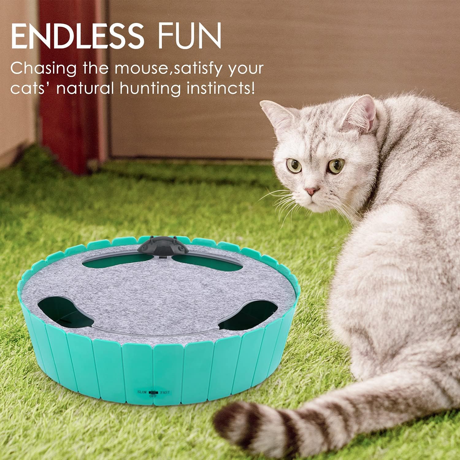 Buy 2 Free Shipping-Cat Toy with Running Mouse