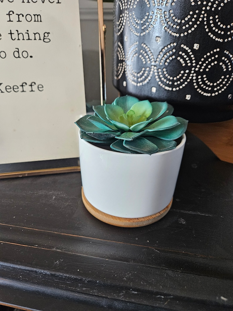 🌼Funny Succulent Pot