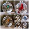 🎁TikTok Last Day Sale - 70% OFF🐦Nature’s Birds Crystal Glass Ornament Set