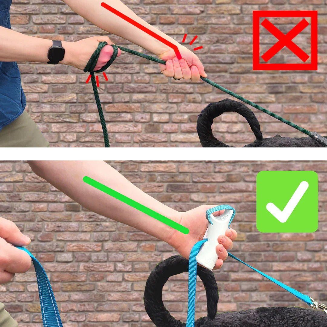 Last Day 49% OFF🔥Quick-Control Dog Leash