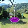 (🔥Last Day Promotion-SAVE 49% OFF) Mary's Hummingbird Feeder With Perch And Built-in Ant Moat-BUY 2 FREE SHIPPING