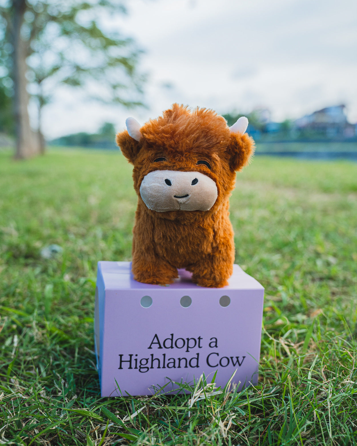 Highland Cow Legend Plushie (🔥🎁Buy 1 Get 1 Free)