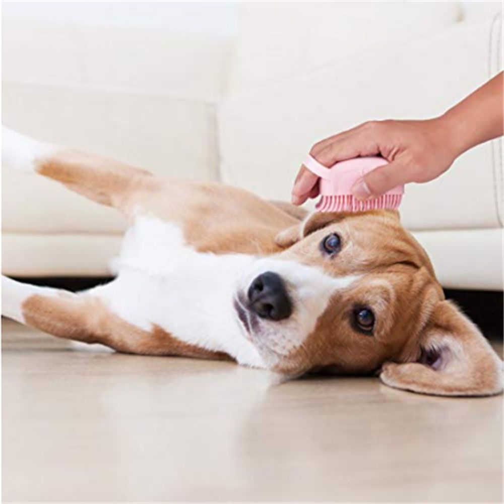 🎁Early Christmas Sale 48% OFF - Pet Bath Massage Brush(BUY 3 GET 1 FREE/4PCS)