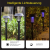 🔥Heißer Verkauf - 50%|Moskito-Abwehr und Beleuchtung Solar-Gartenleuchte
