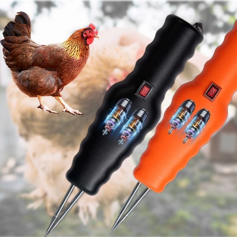 🔥Last Day Promotion - 49% OFF🎁Electric Quick Chicken Plucker(Make things easy.)