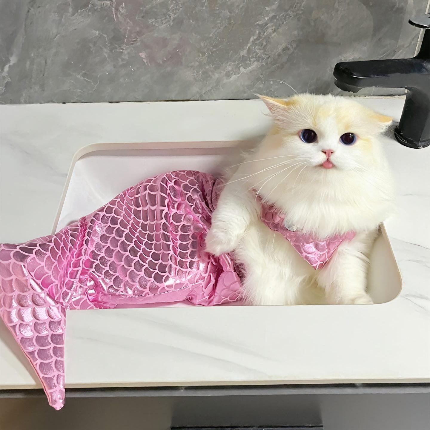 😺Hot Sale 50% OFF-🧜‍♀️Mermaid Bikini Pet Set，BUY 2 GET 1 FREE