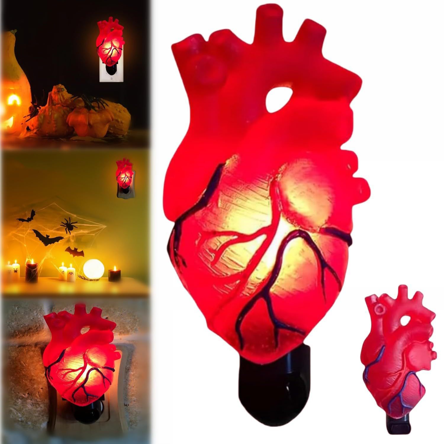 Anatomical Heart Nightlight