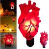 Anatomical Heart Nightlight