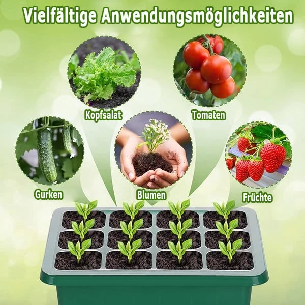 🔥Samen-Startertabletts mit Wachstumslicht