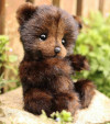 Purely Handmade Plush Baby Bears