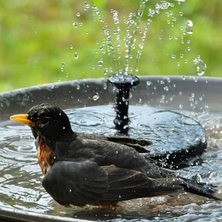 😍Only Today 50% OFF⏰Solar Powered Water Fountain