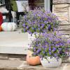🎄Christmas Flash Sale-50% OFF-🔥Outdoor Artificial Flowers💐