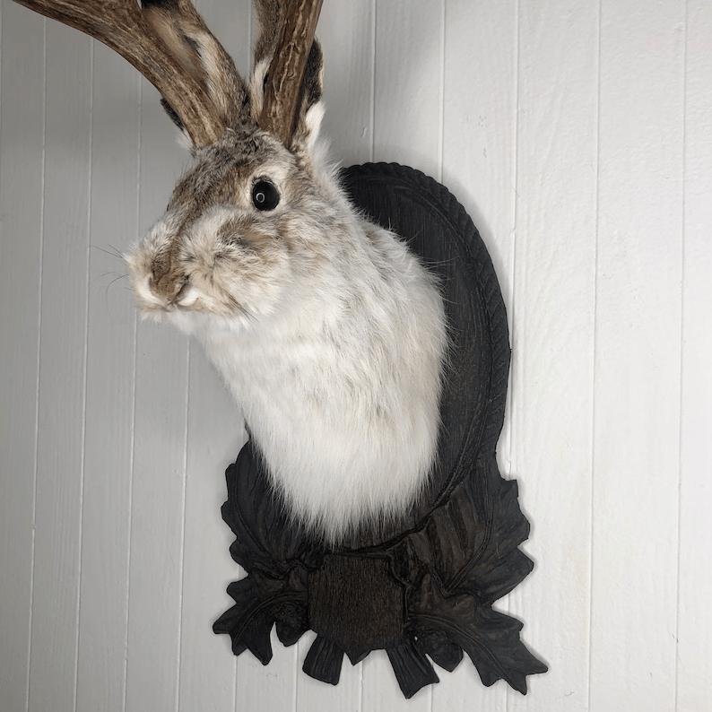 🎉LAST DAY -70%OFF - 🔥The latest Legend of Antlers🐰- Handmade Jackalope⚡Buy 2 Get Free Shipping