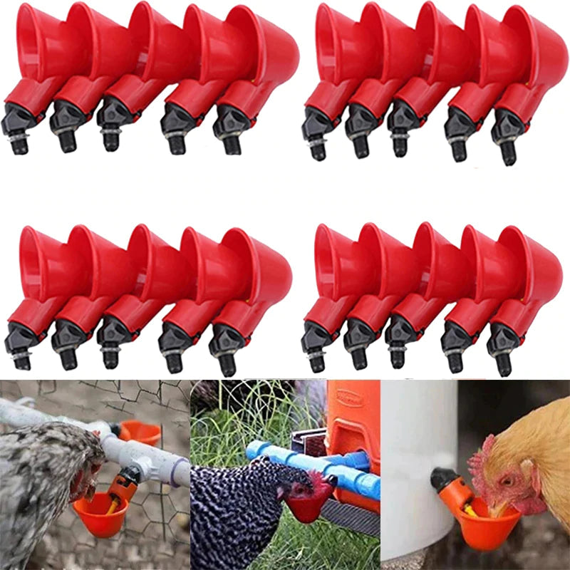 💥Last Day 50% OFF💥Automatic Chicken Water Cup Bird Coop （10 PCS $ 29.99)