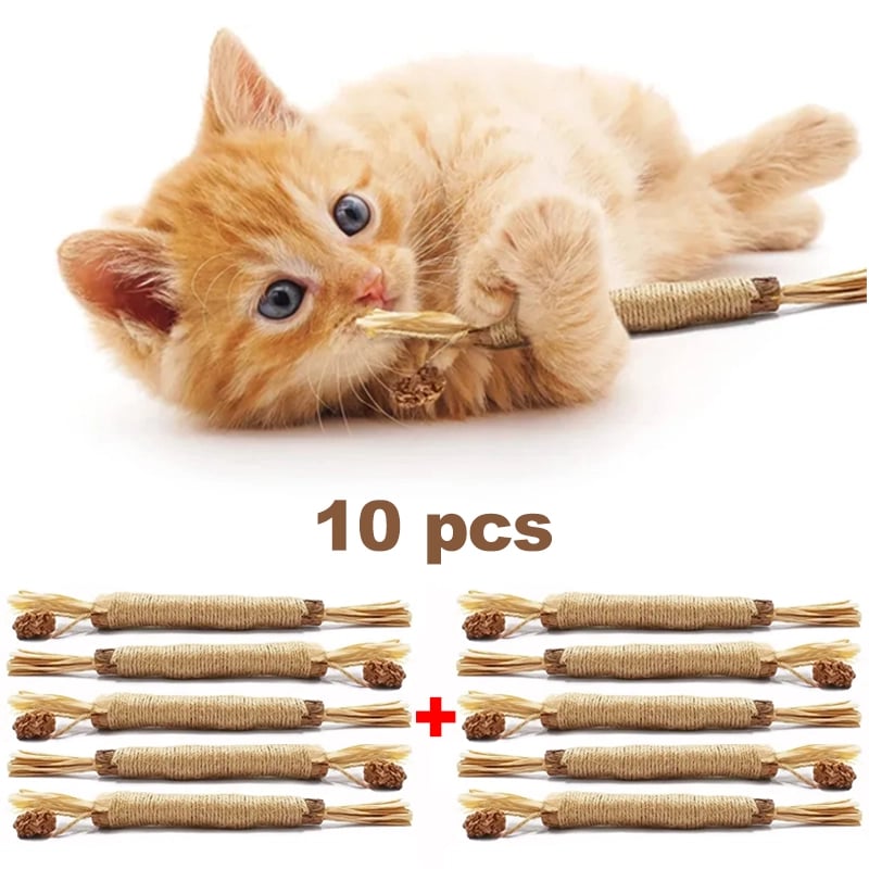 (🔥Last Day Promotion - 50%OFF) Natural Silvervine Stick Cat Chew Toy- BUY 3 GET 2 FREE TODAY!