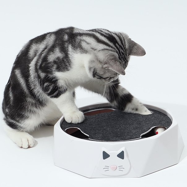 🌲Early Christmas Sale 50% OFF😻Cat interactive mouse box toy