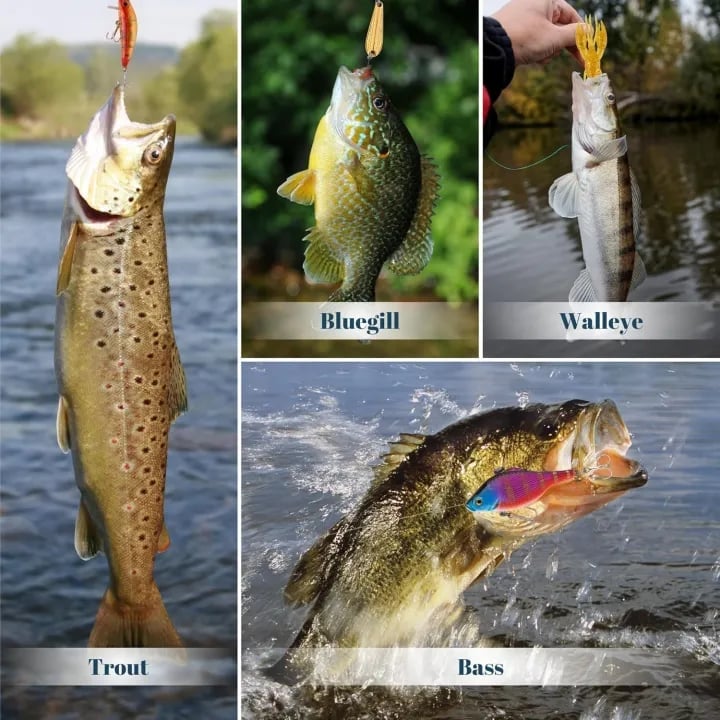 🎁TikTok Last Day Sale - 70% OFF🎣2025 Xmas Holiday Fishing Advent Calendar