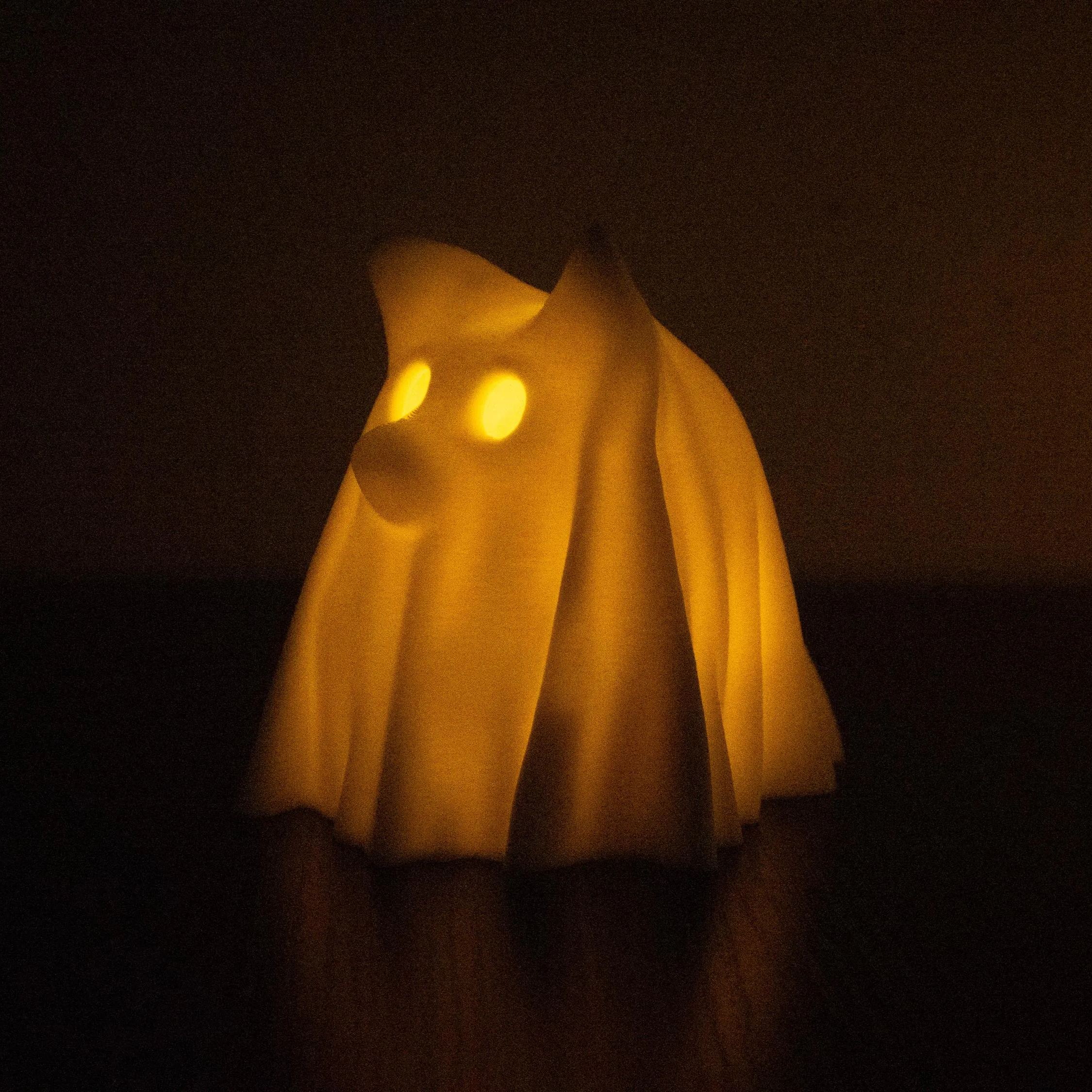 (🎃Early Halloween Sale - 49% OFF) 🐶Glowing Ghost Dog👻