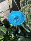 🎁TikTok Last Day Sale - 70% OFF🐝Bee Watering Station,🦋Butterfly Puddler,Hummingbird Drinking Cups