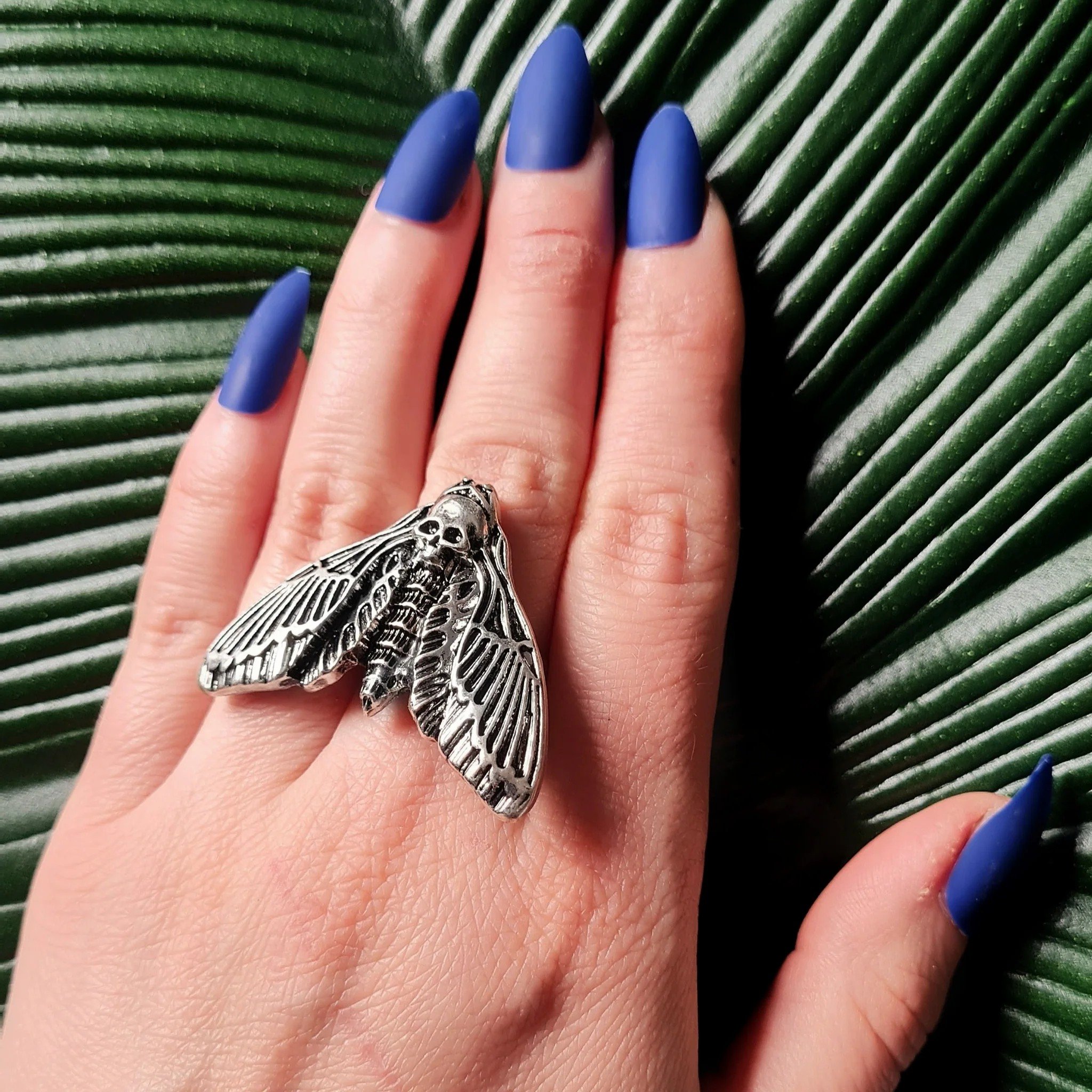 Death’s Head Moth Accessories