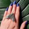 Death’s Head Moth Accessories