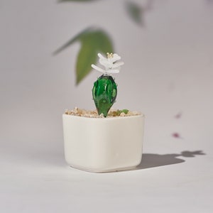 🌵Fused Glass Cactus Plants: 🔥Handmade Stained Glass Plant Decorations