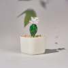 🌵Fused Glass Cactus Plants: 🔥Handmade Stained Glass Plant Decorations