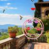 🔥Last Day Promotion 70% OFF✨Hummingbird Feeder