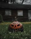 🎁TikTok Last Day Sale - 70% OFF🎃Bloody Accented Pumpkin Decor