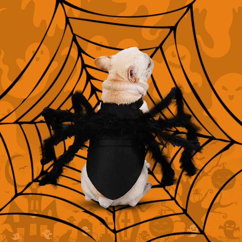 🔥Last Day Promotion - 60% OFF🎁Creative Festival Spider-Shaped Pet Dog Clothes