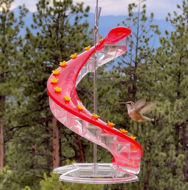 ⚡Clearance Sale 70% OFF丨Upgraded Hummingbird Feeder