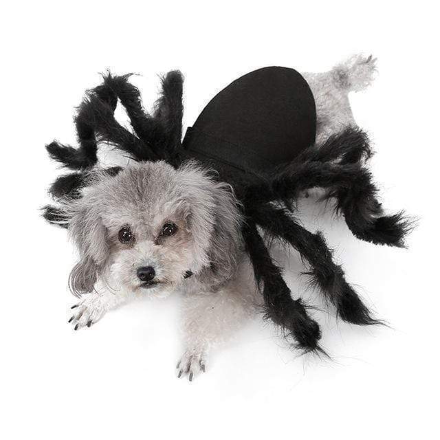 (🎃Halloween Promotion-50% OFF) Halloween Pet Spider Pup Dog Costume