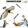 💲One day sale, 70% off everything!🏡Home-Bound Hunt: Indoor Avian Entertainment System For Cats📦BUY 3 FREE SHIPPING
