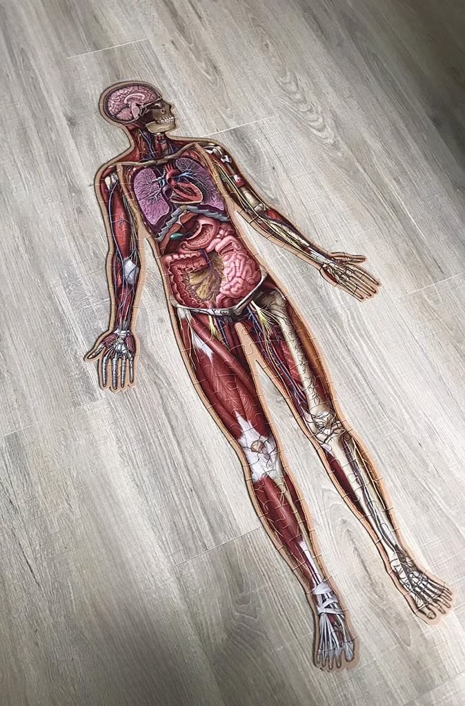 ⏰LAST DAY SALE 50% OFF🔥Kid's 100 Piece Human Body Floor Puzzle