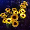 2023 New Year Limited Time Sale 70% OFF🎉Waterproof Solar Garden Sunflower Lamp🔥Buy 3 Get 2 Free(5 Pcs)