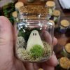 👻✨Pet Ghost in a Bottle