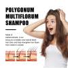 🔥Last Day Promotion 70% OFF-Polygonum Multiflorum Shampoo