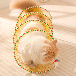 🐱Spring Tunnel Cat Toy for Indoor Cats Exercise Play (Buy 3 Free Shipping)