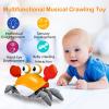 (🔥Last Day Promotion--48%OFF)Crawling Crab Baby Toy(Buy 2 get Free shipping)