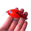 Crankbait Fishing Lure