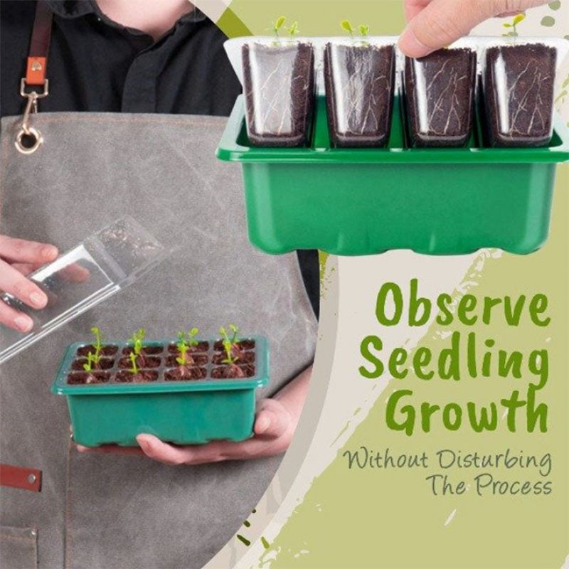 (Last Day Promotion - 50% OFF) 12 Holes Seedling Tray, BUY 5 GET 3 FREE & FREE SHIPPING