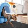 Last Day Promotion 48% OFF - Non-Slip Cat Litter Mat(BUY 2 FREE SHIPPING NOW)