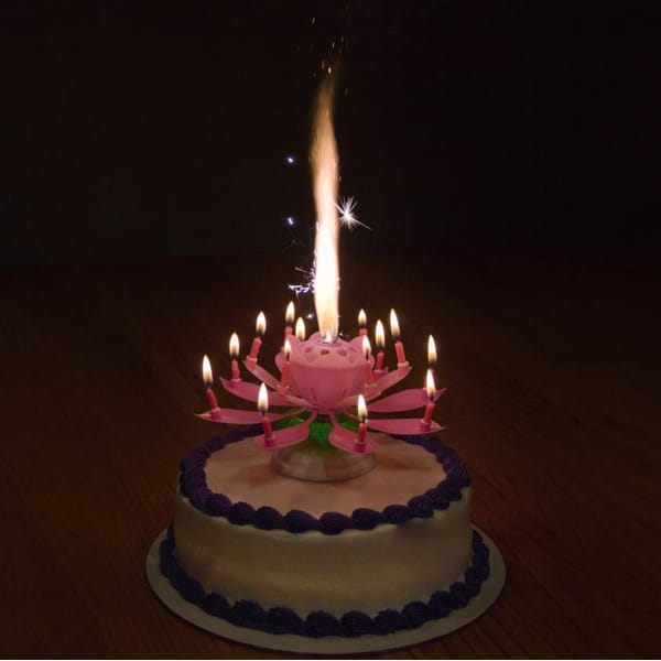 Last Day Promotion 48% OFF - 🔥Magic Musical Flower Birthday Candle⚡Buy 3 Get 3 Free(6 Pcs)